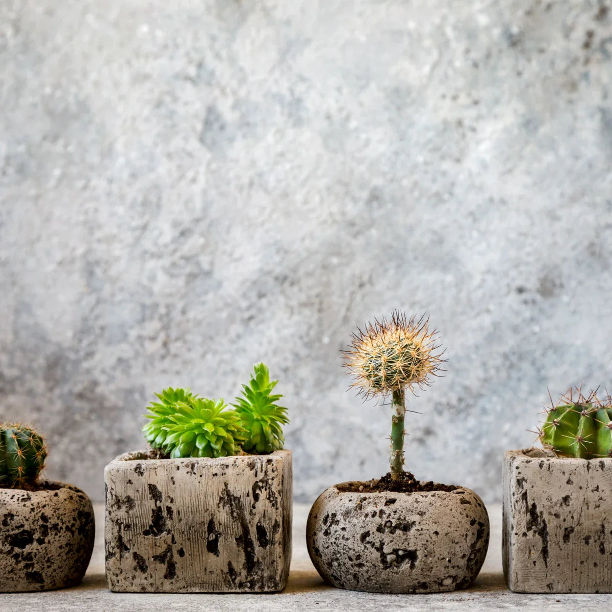 Heritage Pot Set