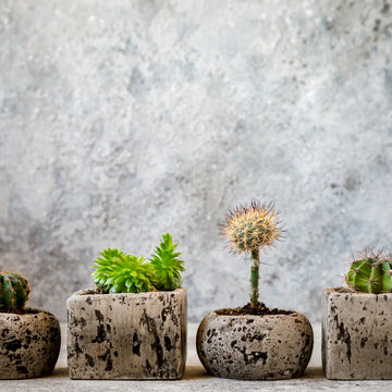 Heritage Pot Set